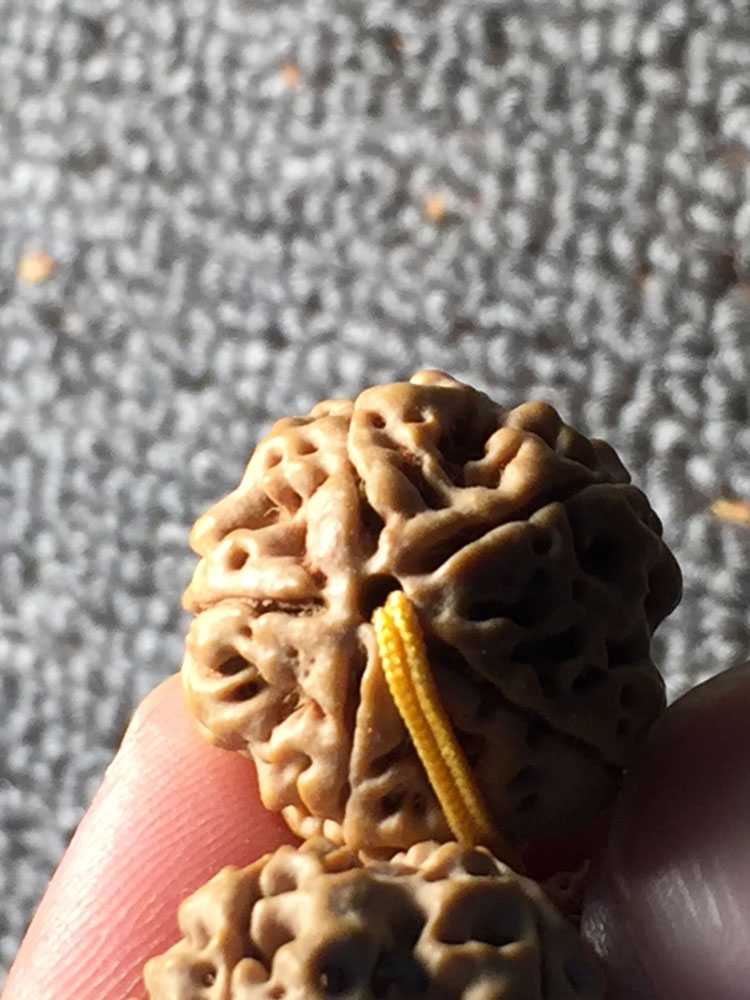 简介