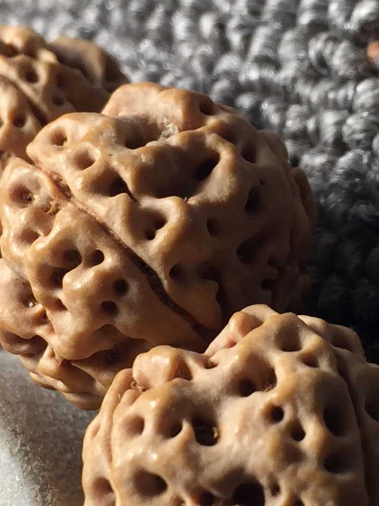 简介
