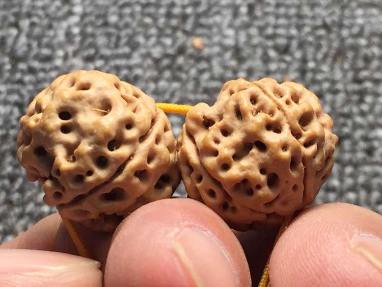 简介