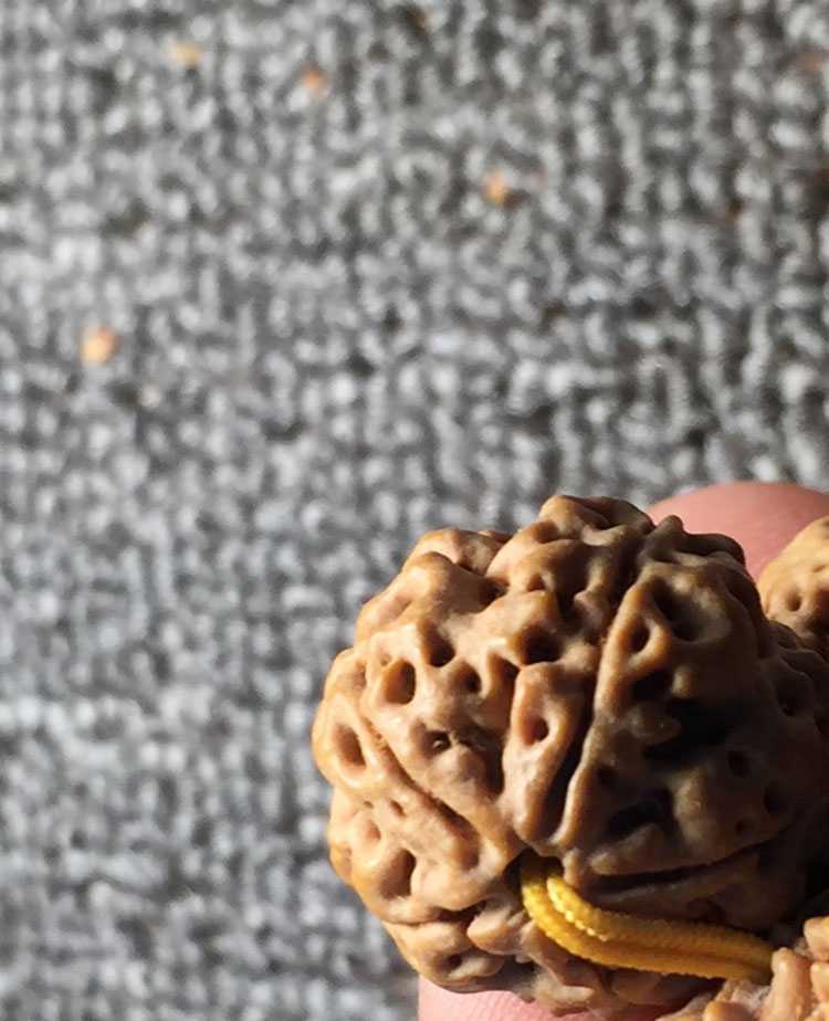 简介
