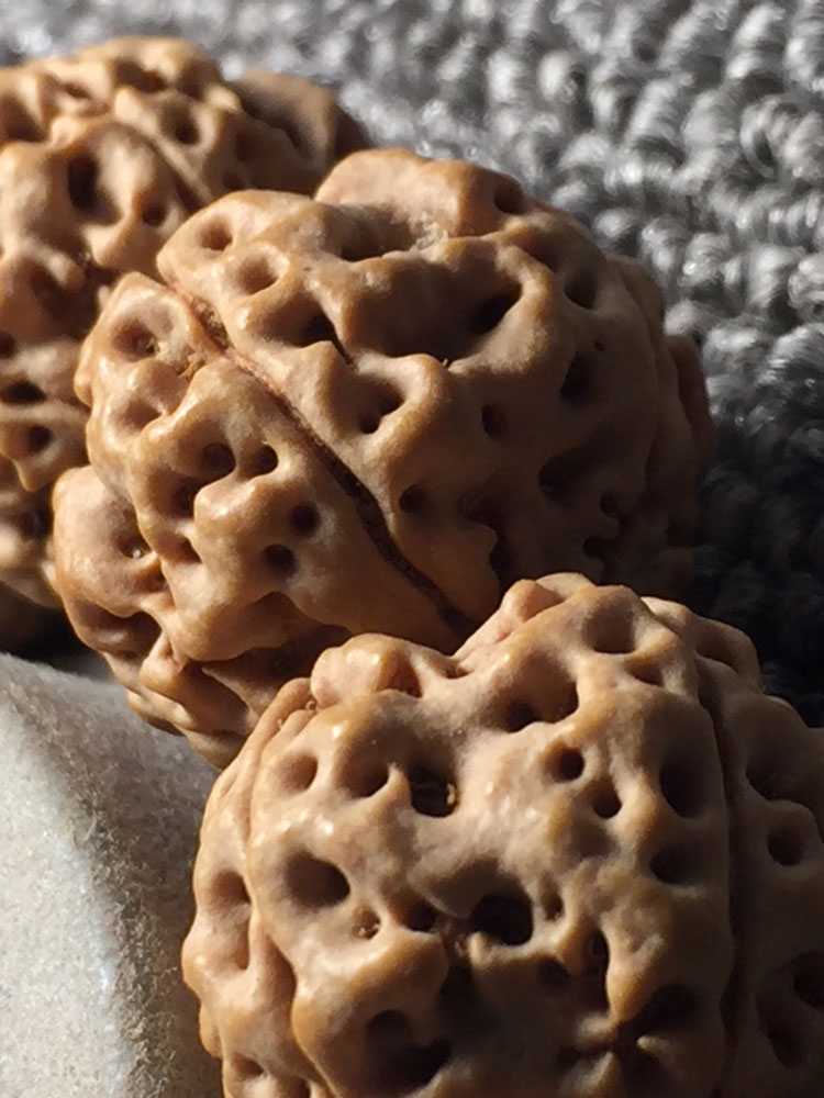 简介