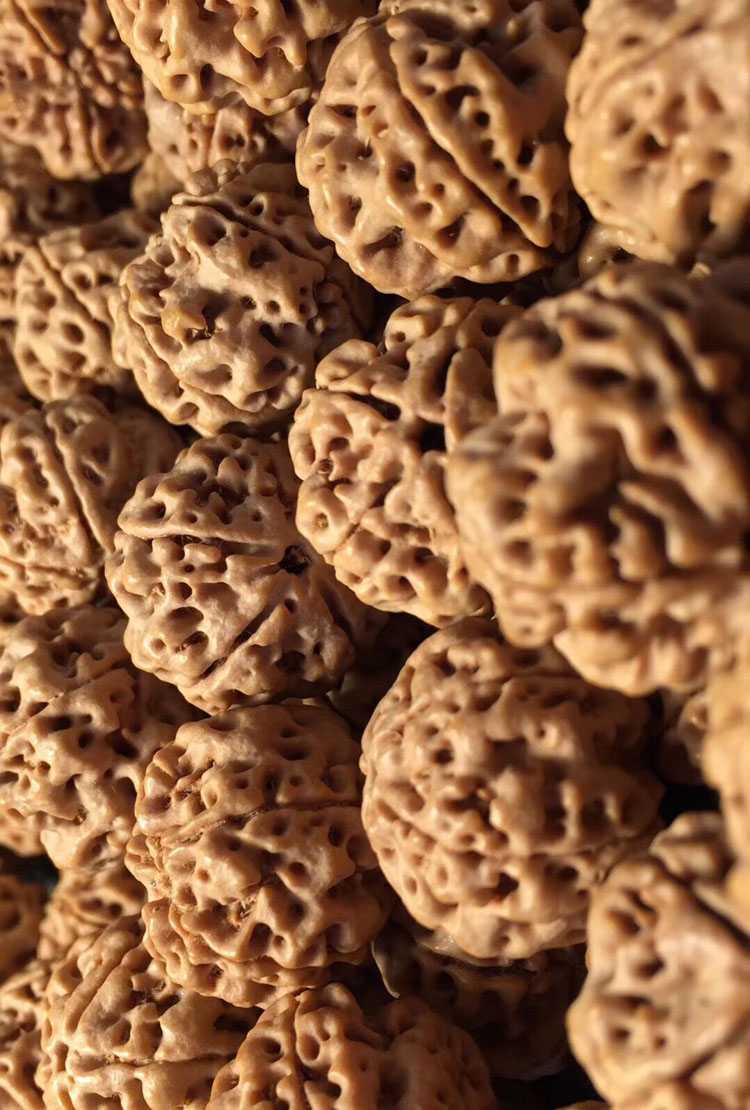 简介