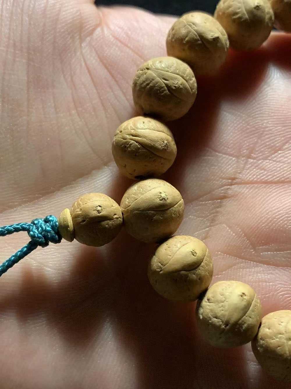 欣赏下尼泊尔小凤眼菩提单圈