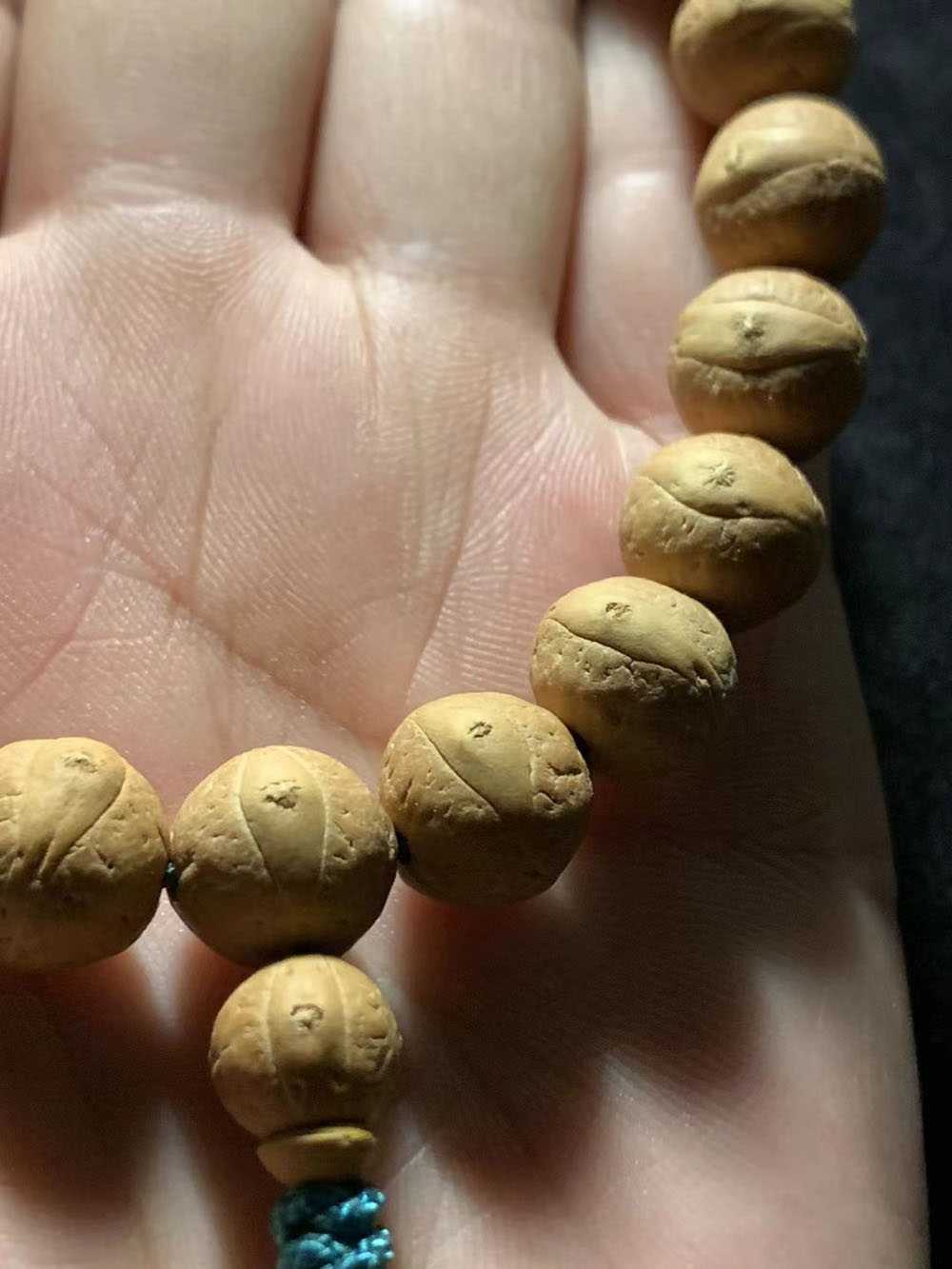 欣赏下尼泊尔小凤眼菩提单圈