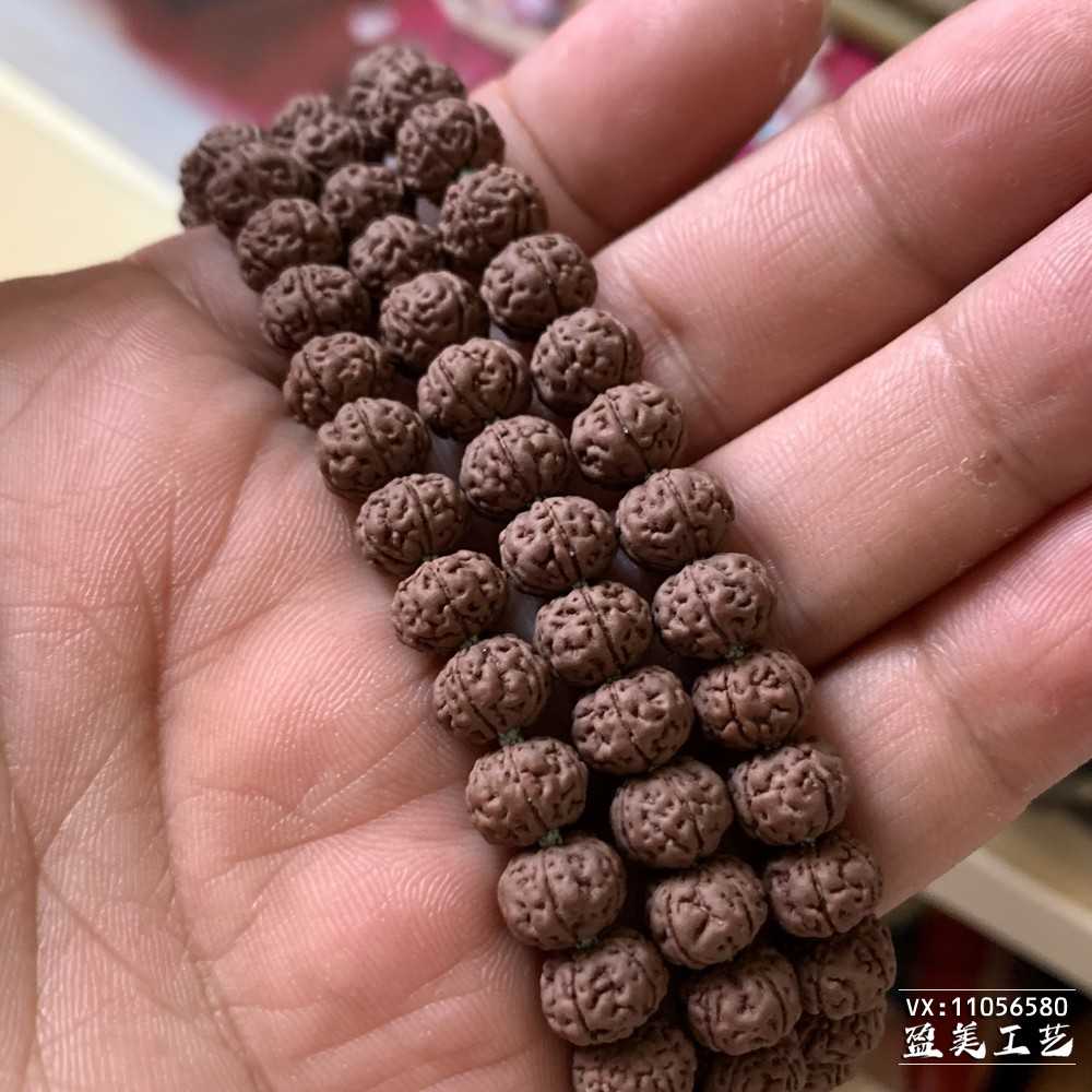 纯血勿里达老树王出货啦!