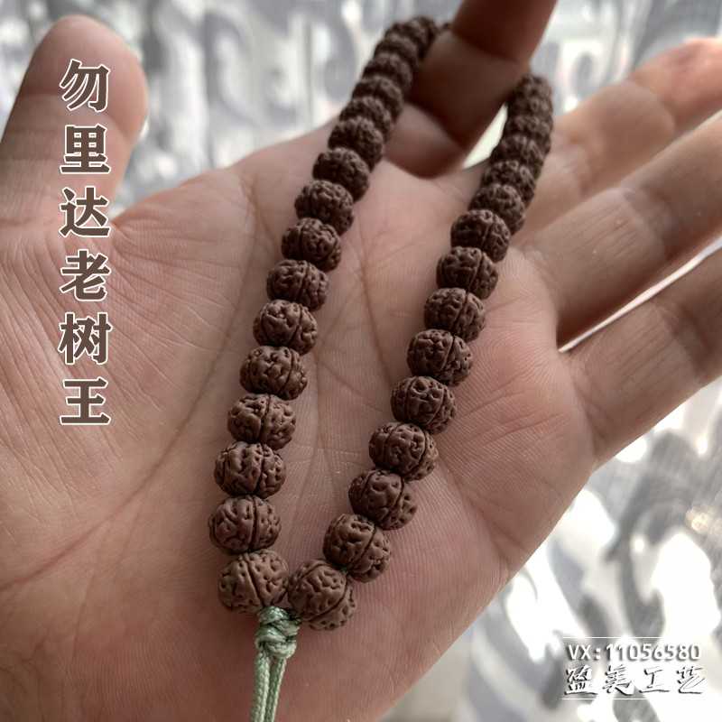 纯血勿里达老树王出货啦!
