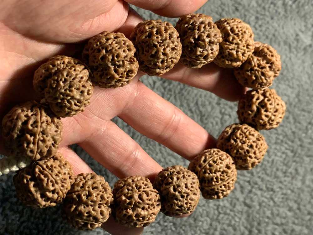 尼泊尔五瓣粗筋满肉梅花双龙一条毕业的串