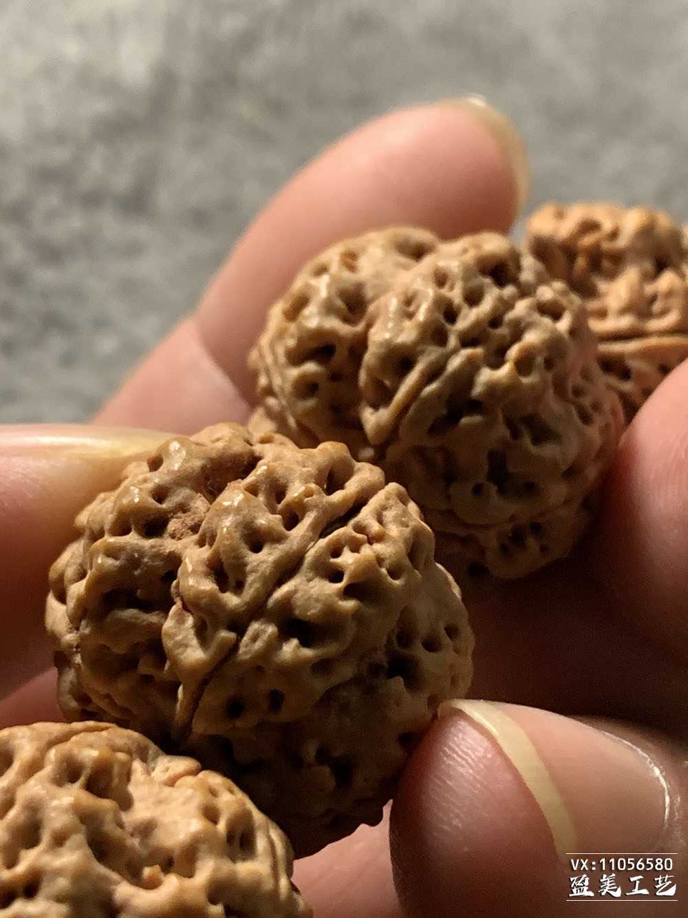 纯正尼泊尔粗筋梅花双龙金刚菩提手串 原籽文玩收藏串