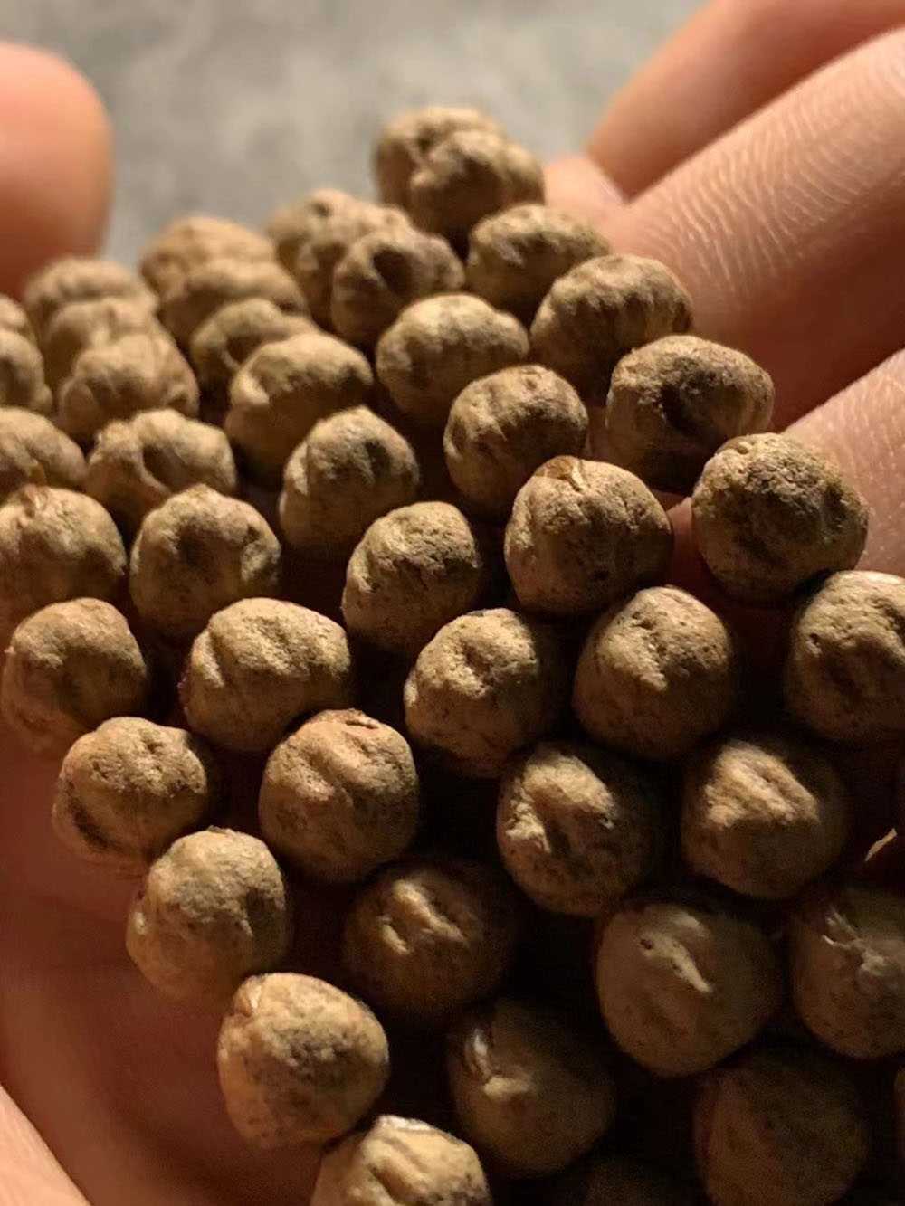 热振红芽百香籽 精工手作原桩金豆鬼脸毕业级长串