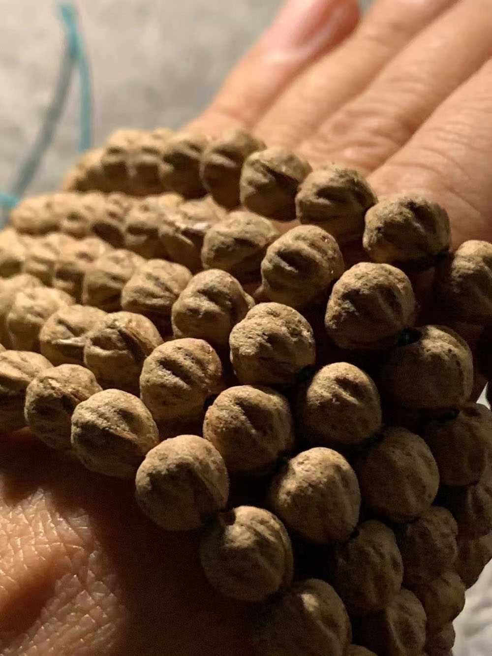 热振红芽百香籽 精工手作原桩金豆鬼脸毕业级长串