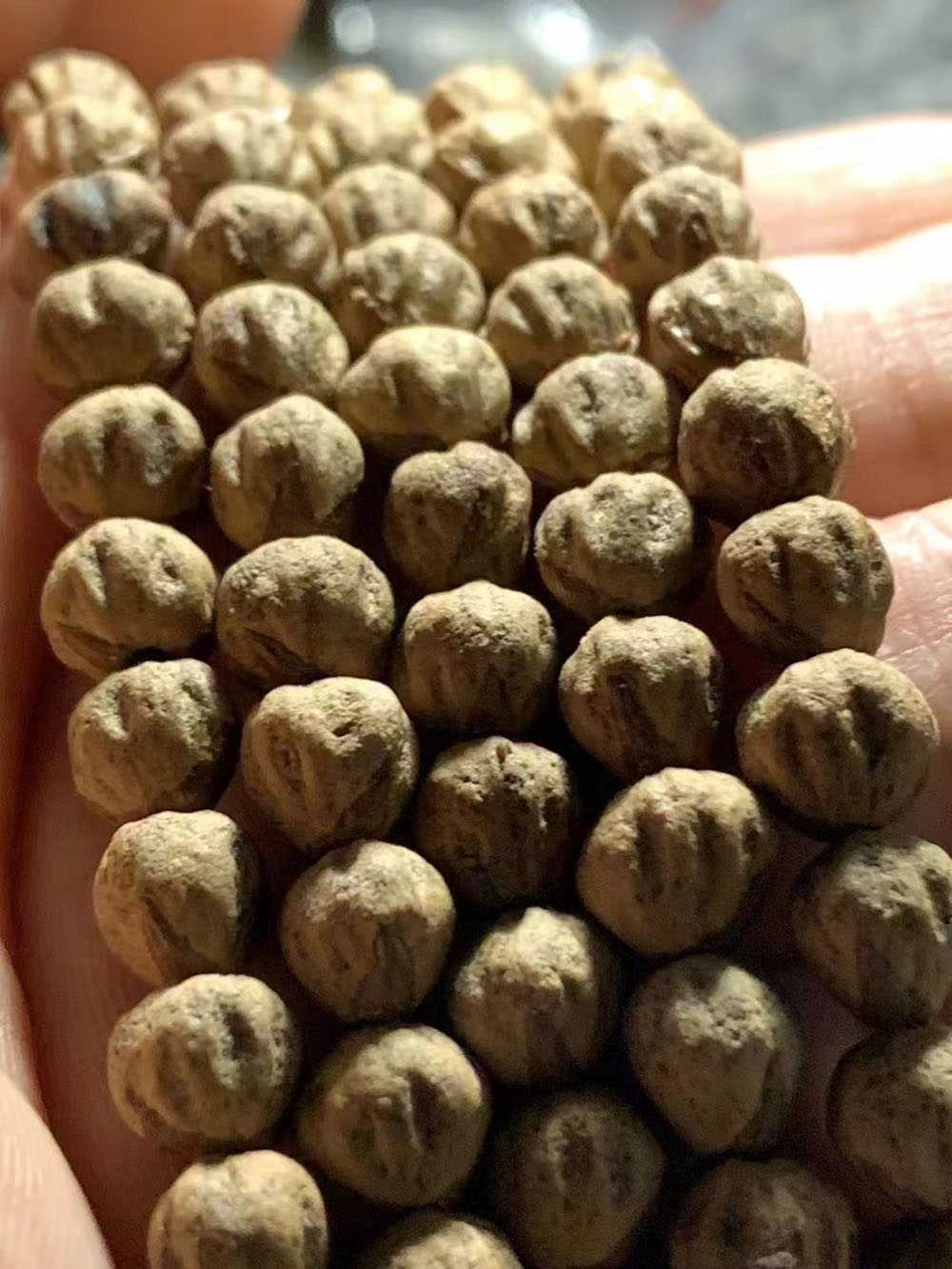 热振红芽百香籽 精工手作原桩金豆鬼脸毕业级长串