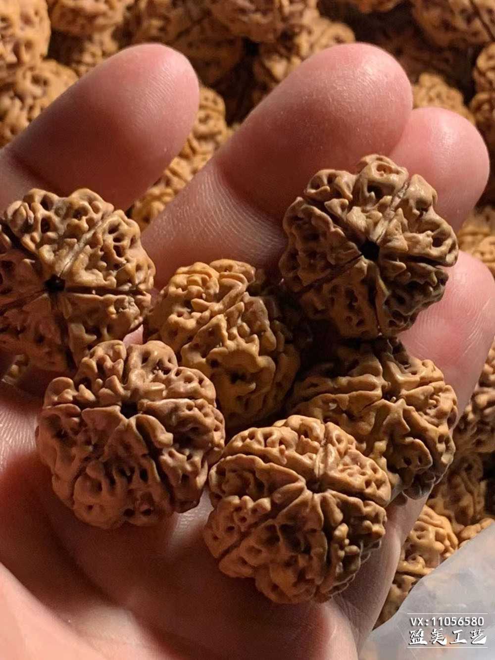 尼泊尔五瓣原生态大金刚菩提子 双龙纹籽 文玩手串可定制