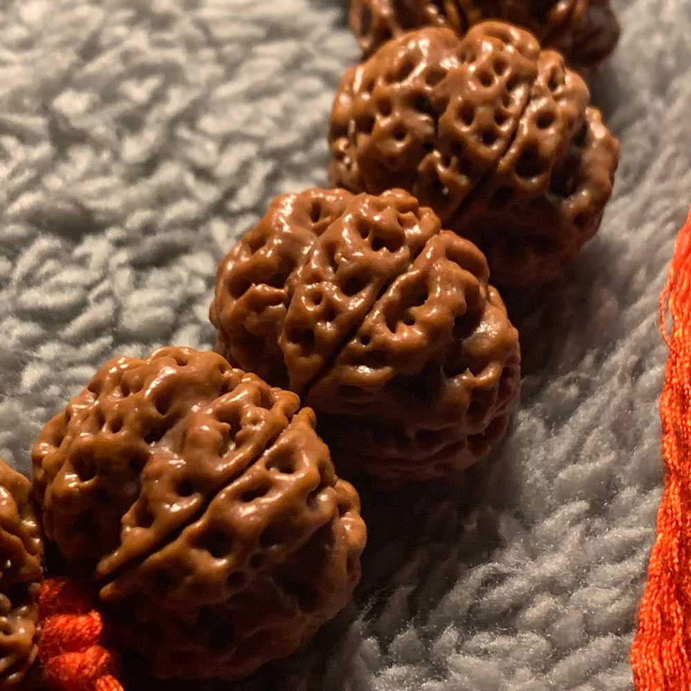 为何你的金刚菩提上色缓慢？解析金刚菩提包浆变色影响因素