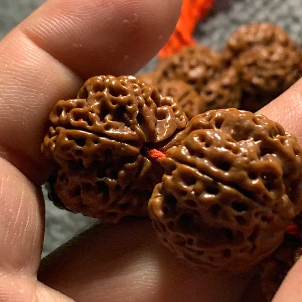 金刚菩提手串裂了还能玩吗 开裂原因与修复养护技巧!