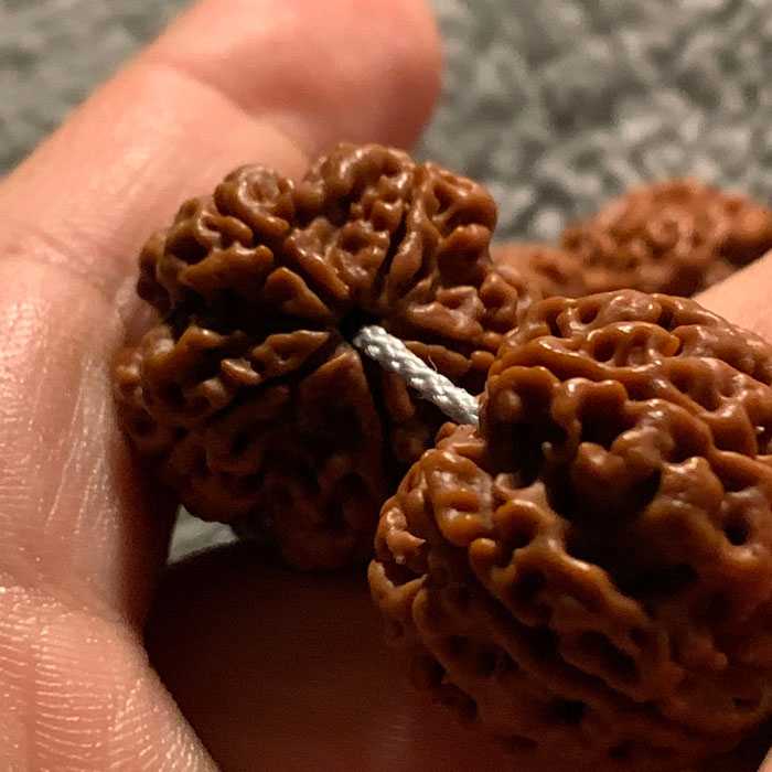 金刚菩提手串裂了还能玩吗 开裂原因与修复养护技巧!