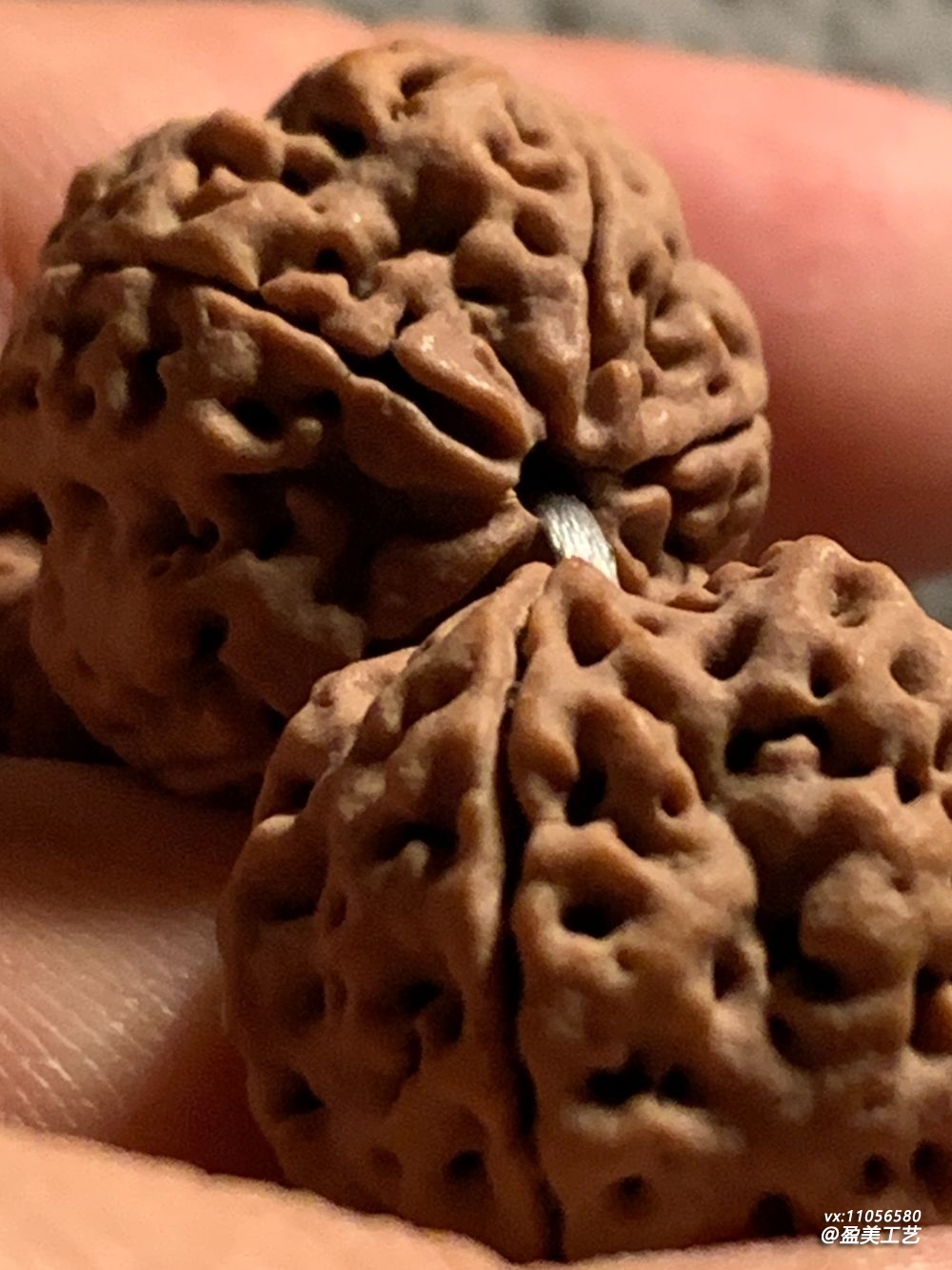 双龙贯脊 肉纹饱满 - 尼泊尔大金刚菩提手持把玩记