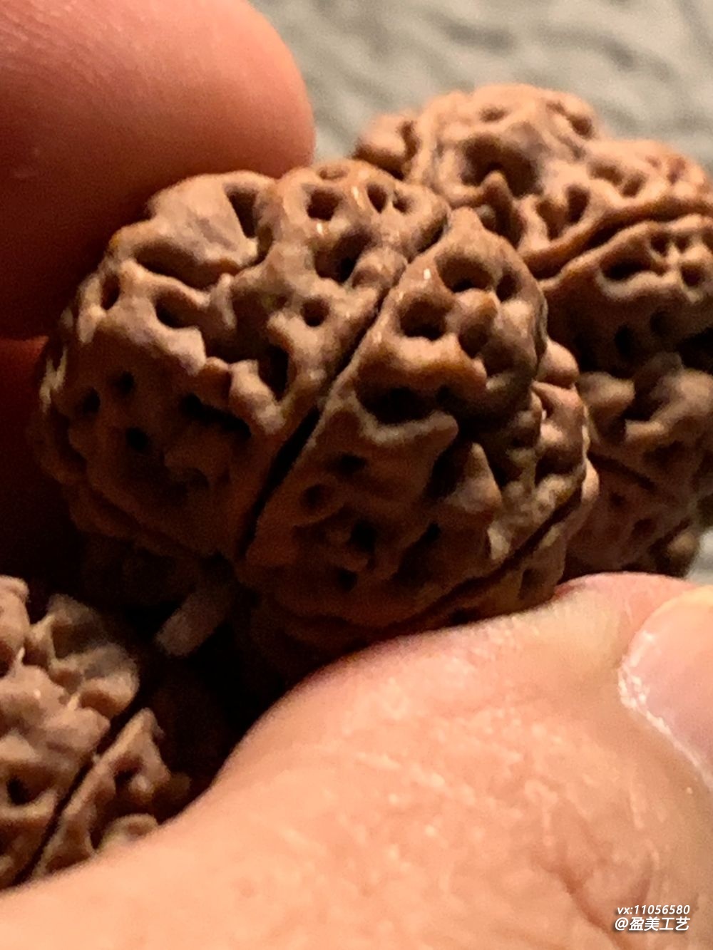 双龙贯脊 肉纹饱满 - 尼泊尔大金刚菩提手持把玩记