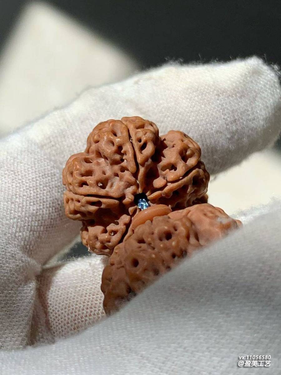 大金刚菩提纹路怎么挑？梅花桩蜂窝双龙纹挑选心得