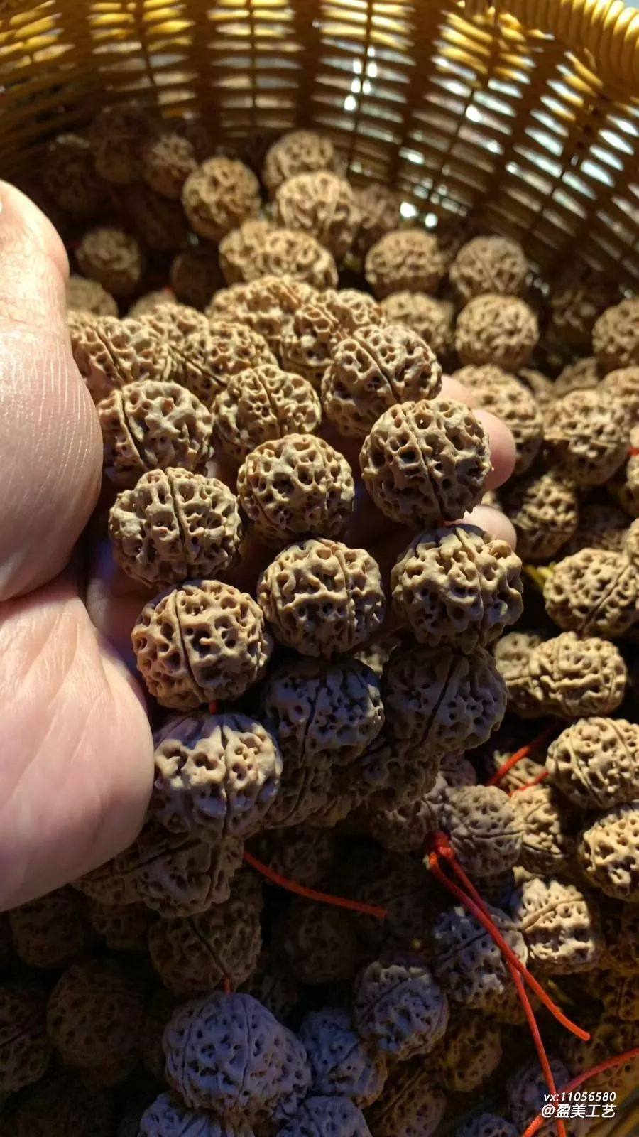 这串金刚的纹路太特别了 每颗都像一朵花