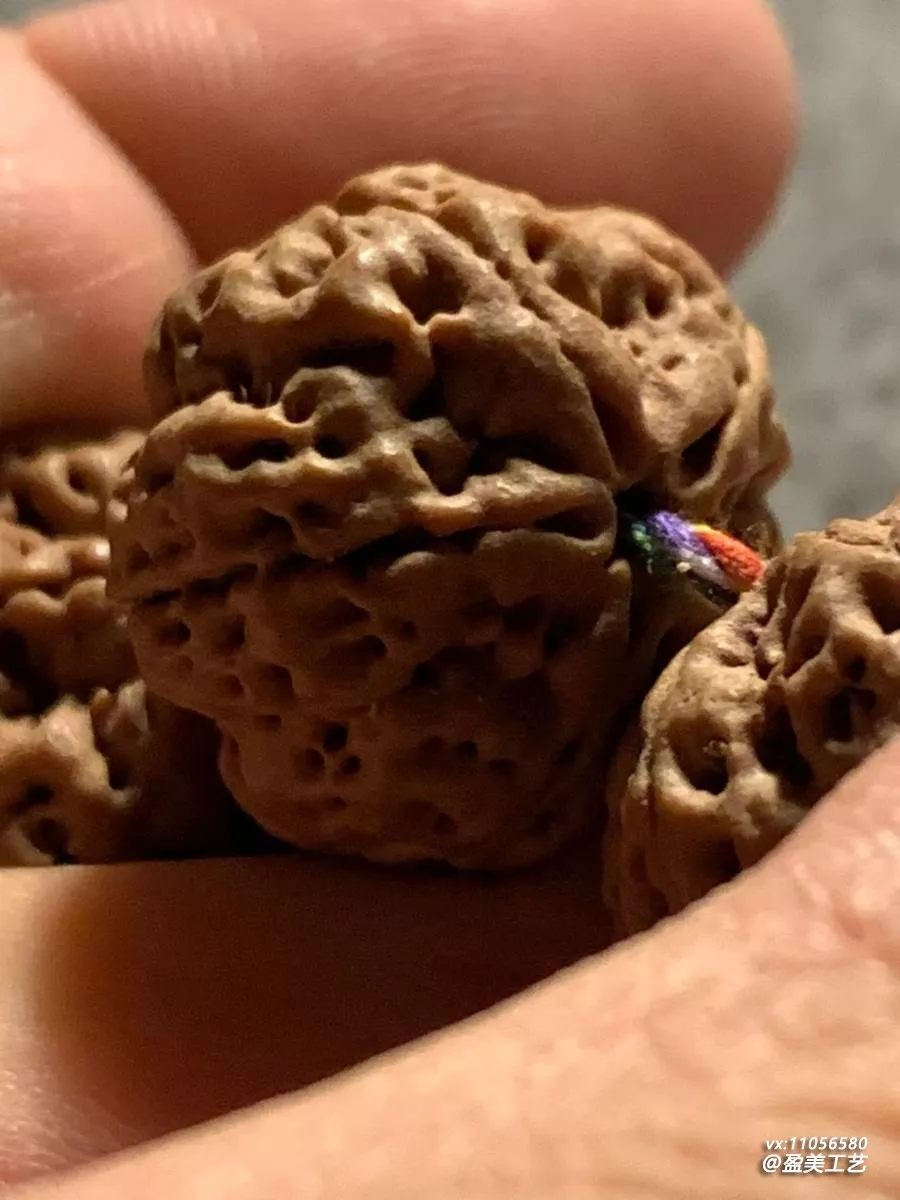 新到一批尼泊尔籽 挑出这串梅花桩给大家看看