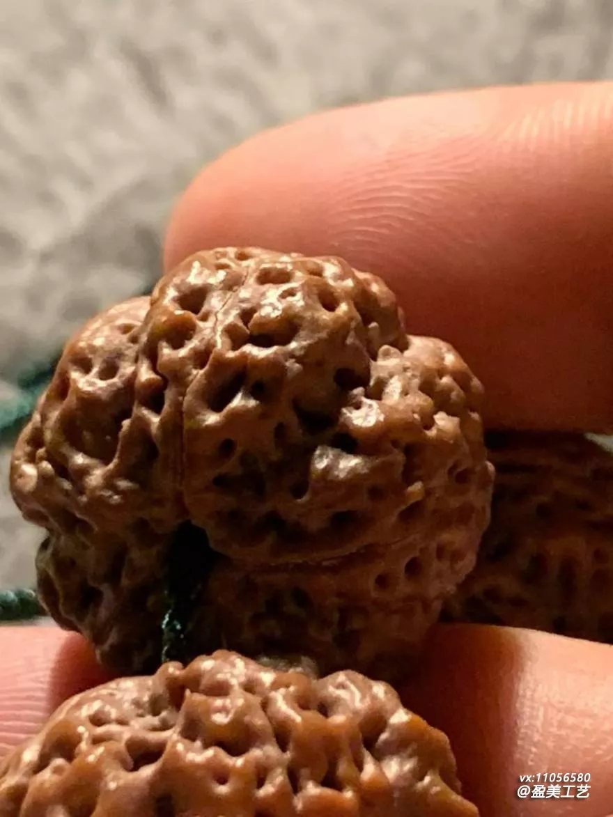 新到一批尼泊尔籽 挑出这串梅花桩给大家看看