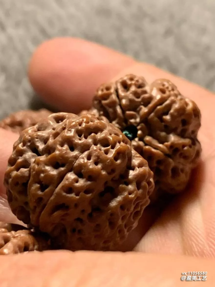 从三百颗籽里挑出这串 前后花了一个星期