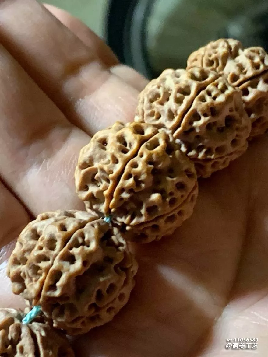 定制金刚可以自己提供籽吗 加工费怎么算